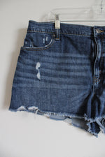 Aerie Elastic Waistband Distressed Denim Shorts | XL