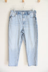 American Eagle Strigid Mom Jean | 10 X-Short