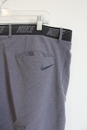 Nike Gray Dri-Fit Shorts | 38