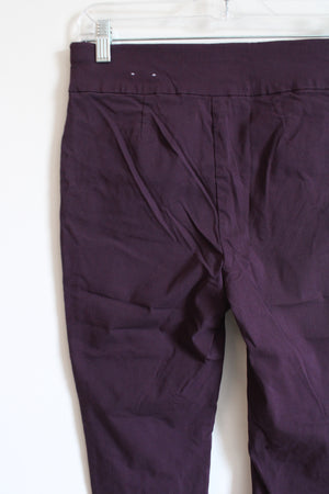 Chico's Perfect Stretch Eggplant Purple Pant | 00 (2)