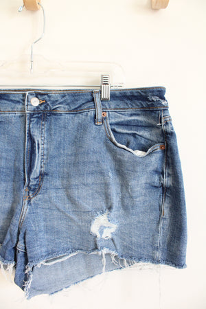 Old Navy High Rise O.G. Straight Distressed Shorts | 20