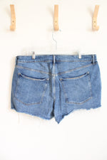 Old Navy High Rise O.G. Straight Distressed Shorts | 20