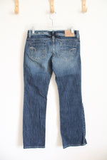 American Eagle Artist Dark Wash Jeans | 4 Short
