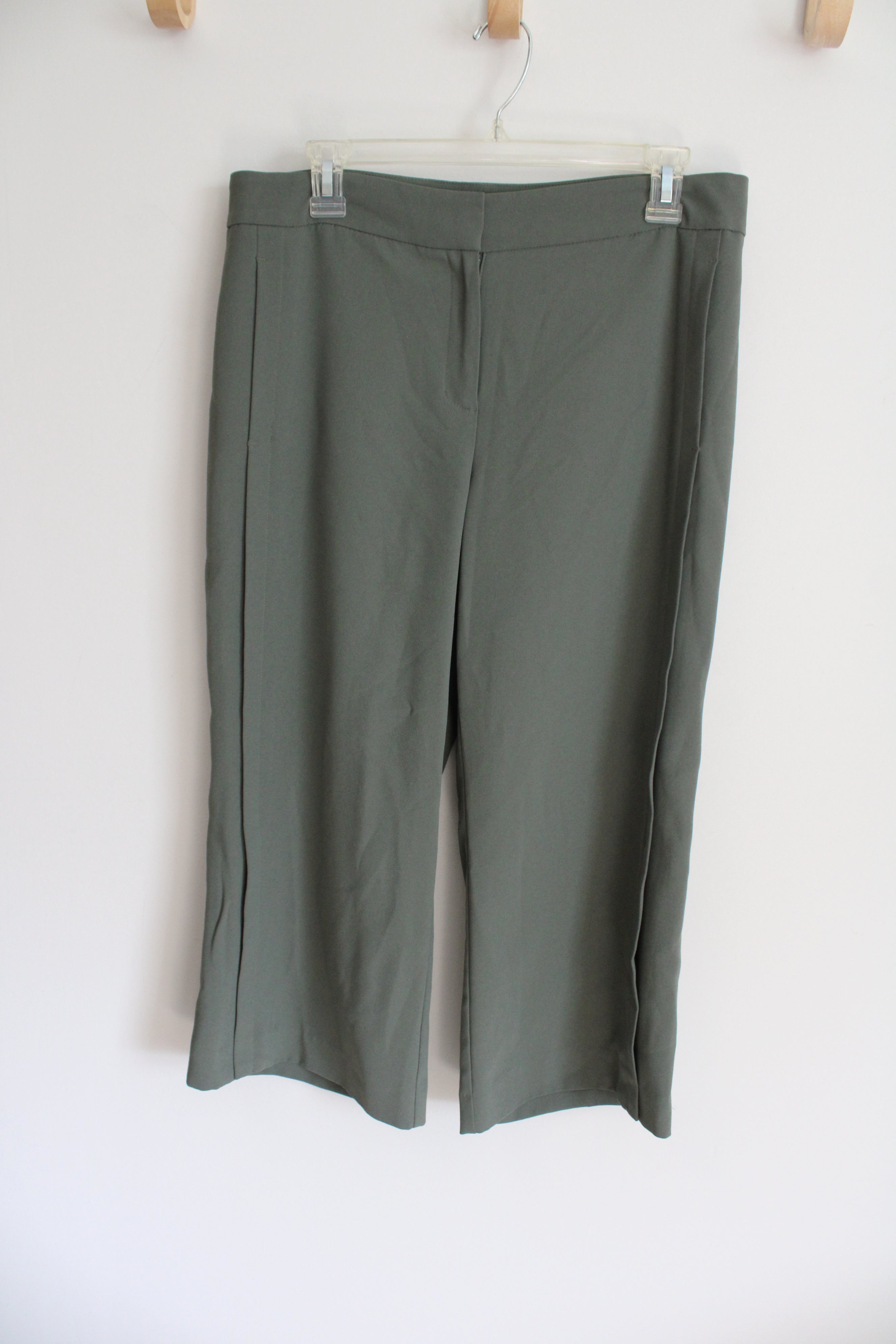 Ann Taylor Sage Green Loose Capri Pants | 8 Petite