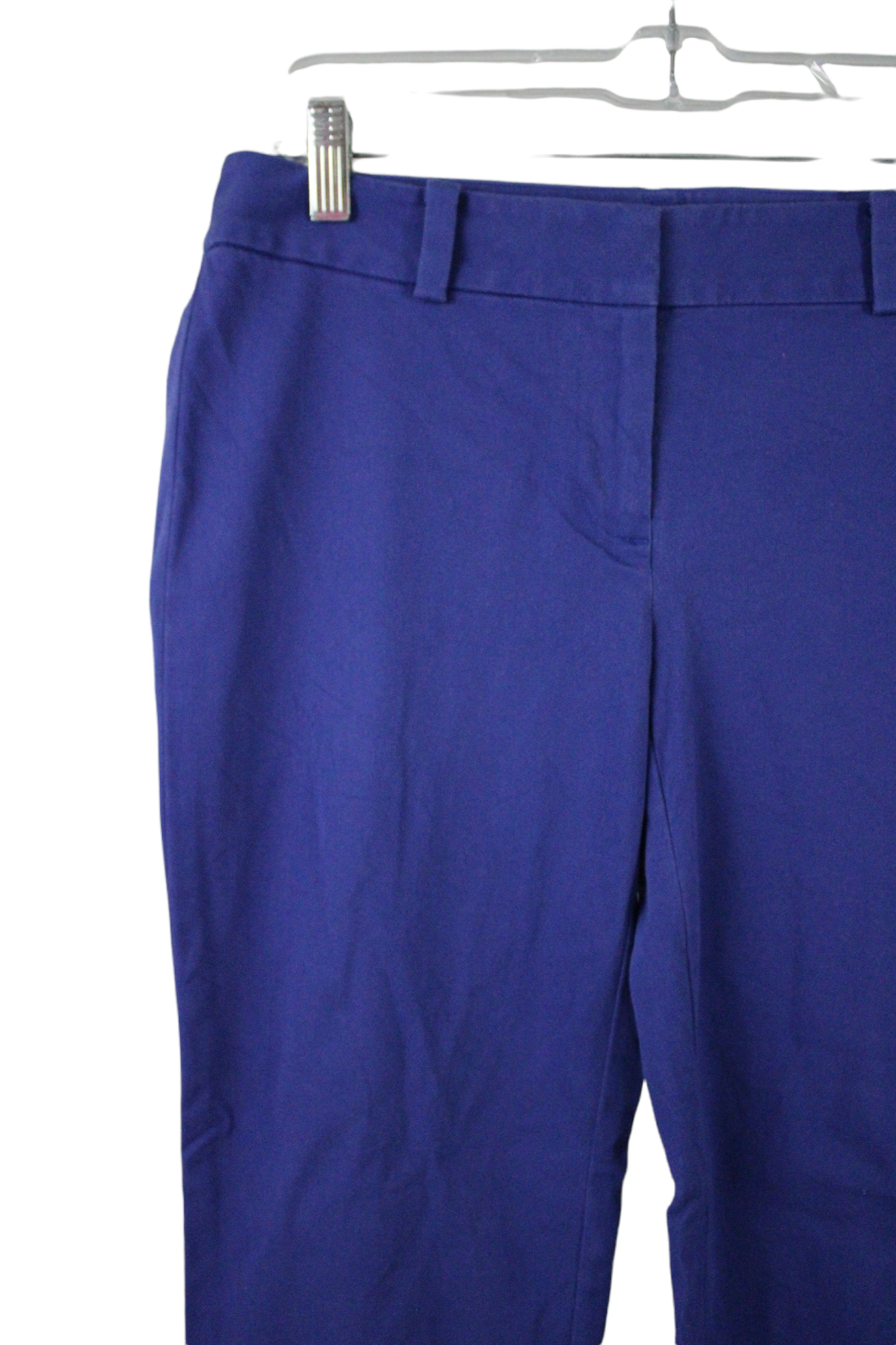 Ann Taylor LOFT Blue Original Pant | 2